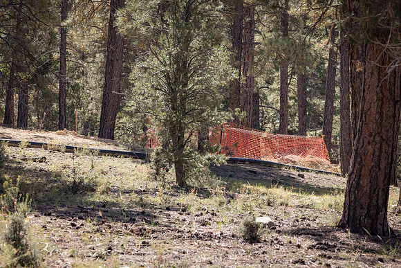 Insitufom_PrimusLine_GC_AZ_716