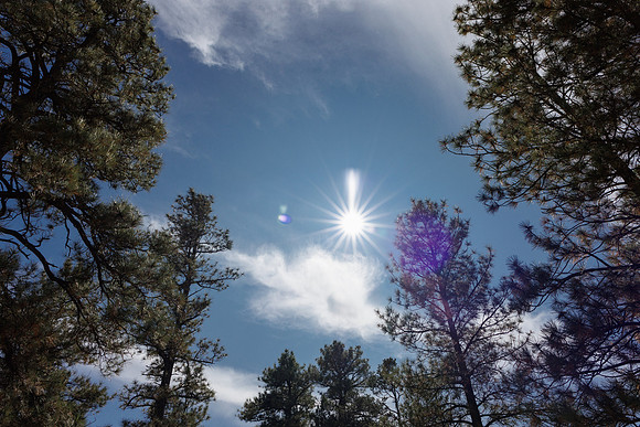 Insitufom_PrimusLine_GC_AZ_1041