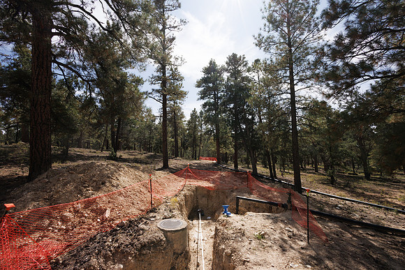 Insitufom_PrimusLine_GC_AZ_1035