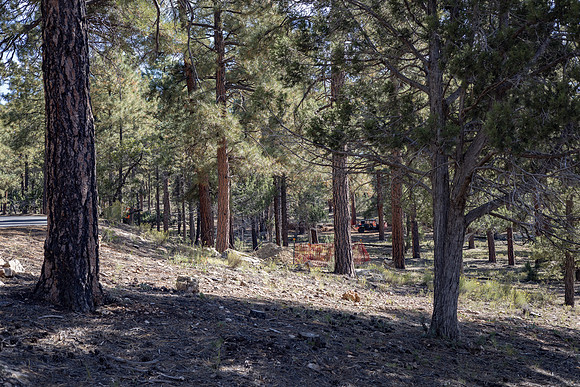 Insitufom_PrimusLine_GC_AZ_1086