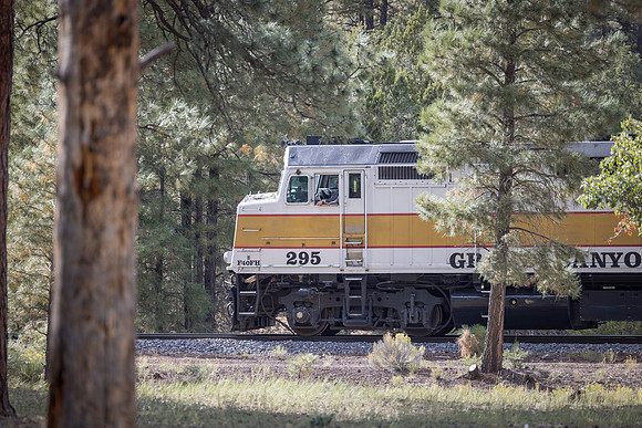 Insitufom_PrimusLine_GC_AZ_1415