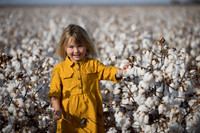 RRXCottonTexas_cdp_2458