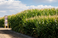 Bayer Short-Corn Trial Idaho 2023