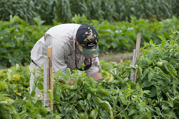 Seminis2021_HallNY_135
