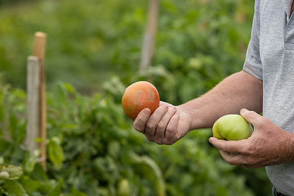 Seminis2021_HallNY_218