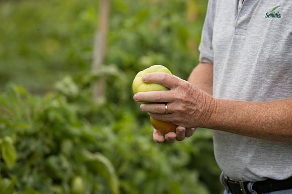 Seminis2021_HallNY_221