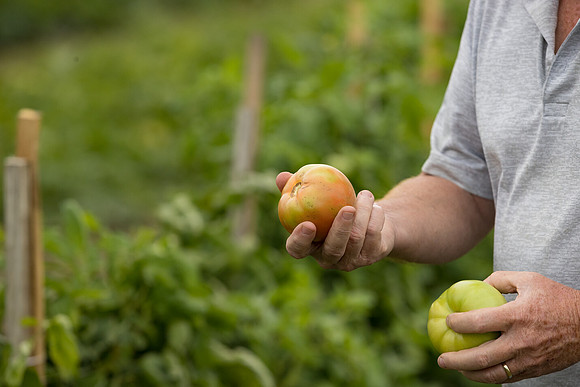 Seminis2021_HallNY_225
