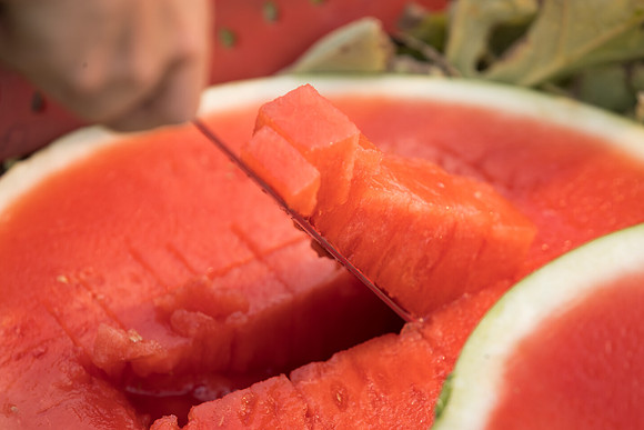 Watermelon_SVWA6179_CA_12