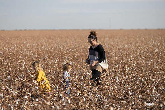 RRXCottonTexas_cdp_2535