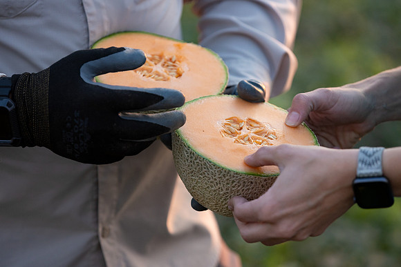 Seminis2021_AZ_302