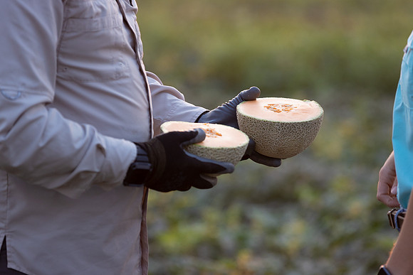 Seminis2021_AZ_243