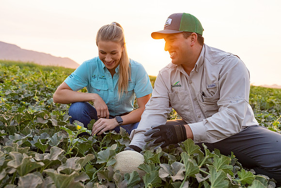 Seminis2021_AZ_537