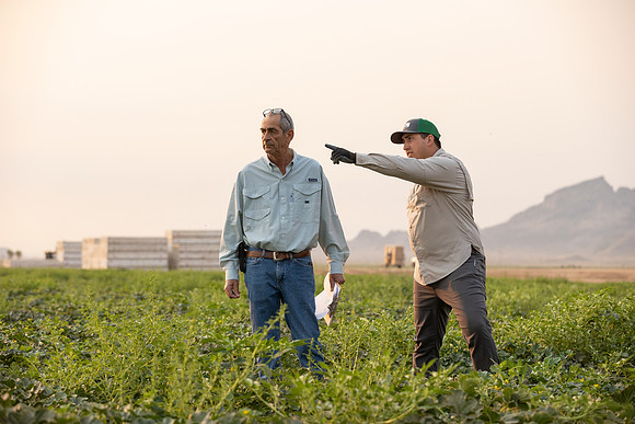 Seminis2021_AZ_1122