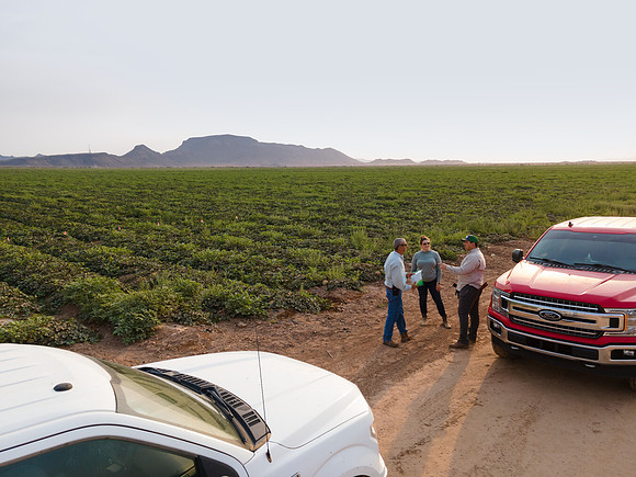 Seminis2021_AZ_3632