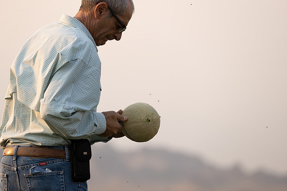 Seminis2021_AZ_1522
