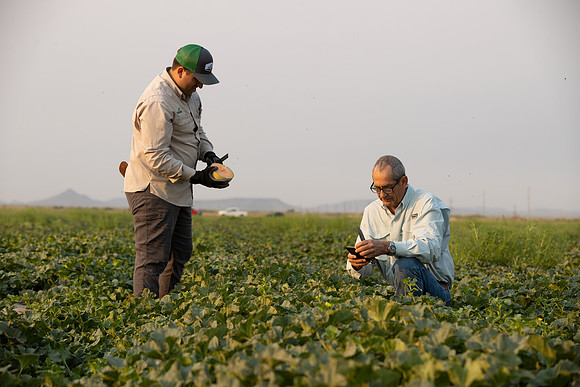 Seminis2021_AZ_1640