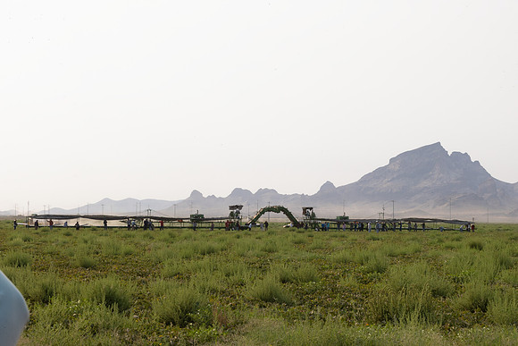 Seminis2021_AZ_2875