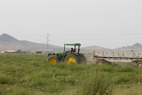 Seminis2021_AZ_2896