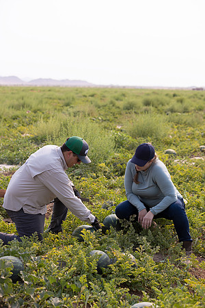 Seminis2021_AZ_3323