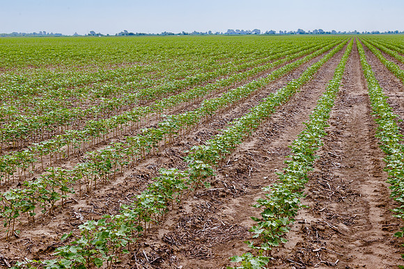 ThryvOn_2022_TurnageFarms_cdp_78