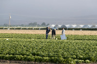 Crew_SanJuanBautista_CA_0024