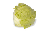 Lettuce_SV8143LG_CA_0070