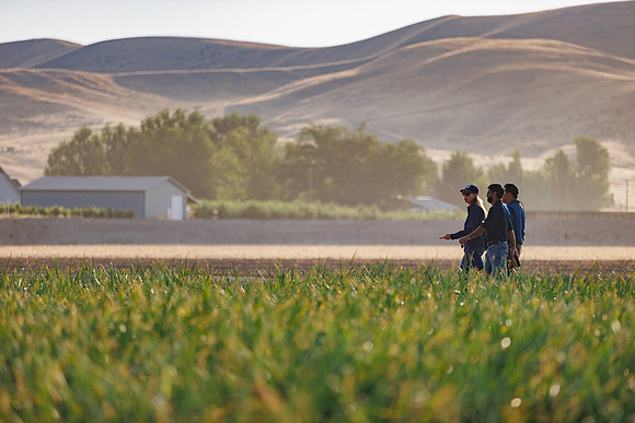 Seminis2022_Idaho_1650