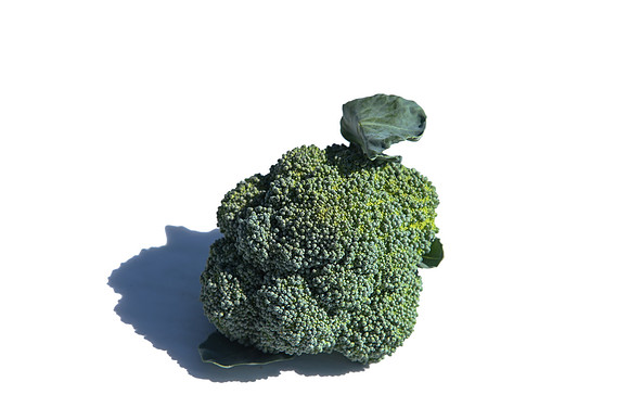 Broccoli_CastleDome_CA_0013