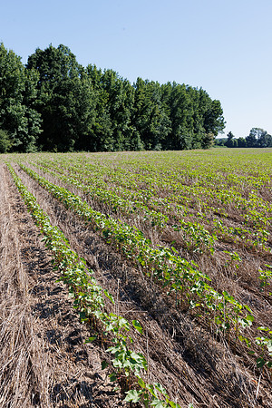 ThryvOn_2022_GriggsFarms_cdp_171