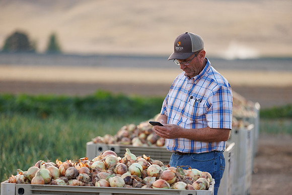 Seminis2022_Idaho_1776