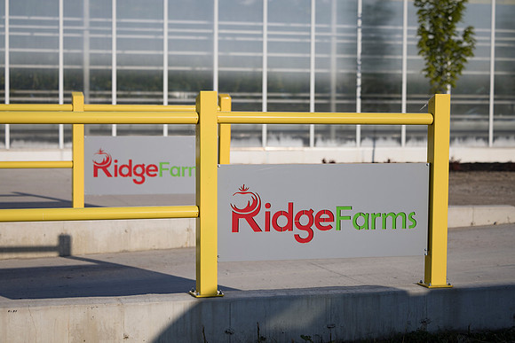 DeRuiter2024_ON_RidgeFarms_2