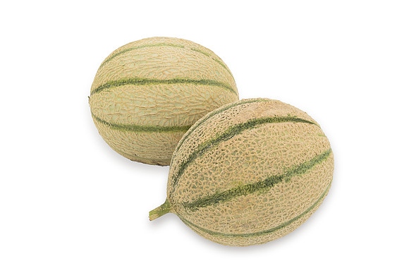 Melon_SVML2502_6