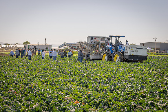 CytheHarvester_SJB_FieldDay2025_98
