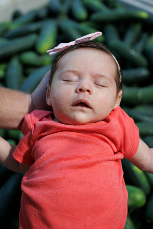 Seminis2022_FL_BabyKirkland_22