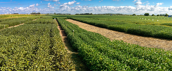 GDM_Event_Sept2019_948-Pano