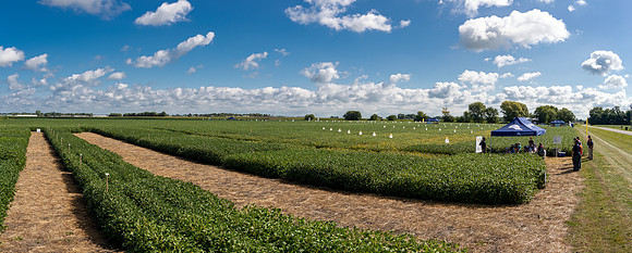 GDM_Event_Sept2019_954-Pano