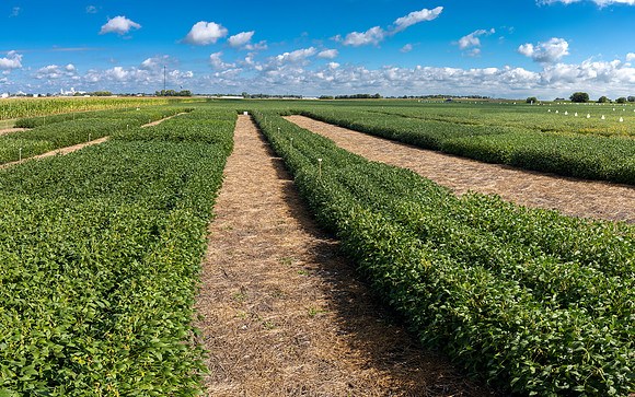 GDM_Event_Sept2019_958-Pano