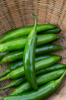 HotPepper_SV5633HT_MX_0037