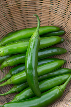 HotPepper_SV5633HT_MX_0037