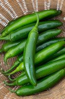 HotPepper_SV5633HT_MX_0034