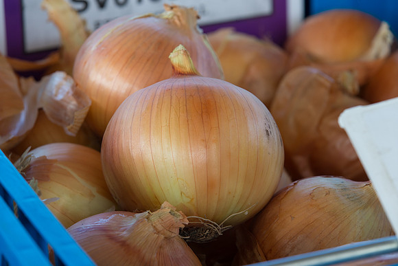 Onion_SV0106NG_CA_0005