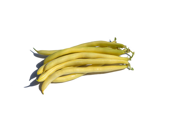 Bean_Custard_CA_0030