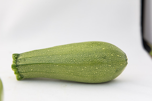 Squash_Depredador_MX_0036