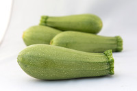 Squash_Depredador_MX_Group_0008