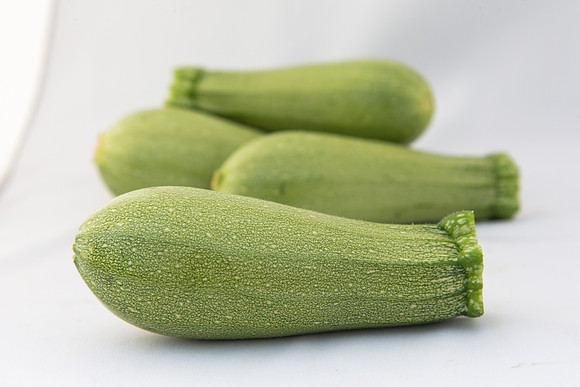 Squash_Depredador_MX_Group_0008