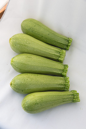 Squash_Depredador_MX_Group_0001