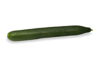 Cucumber_14LC5534_0009