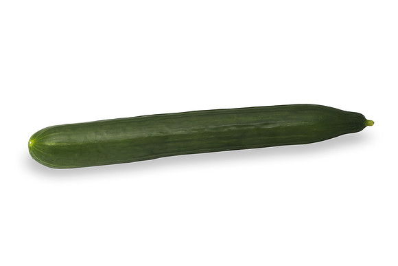 Cucumber_14LC5534_0009