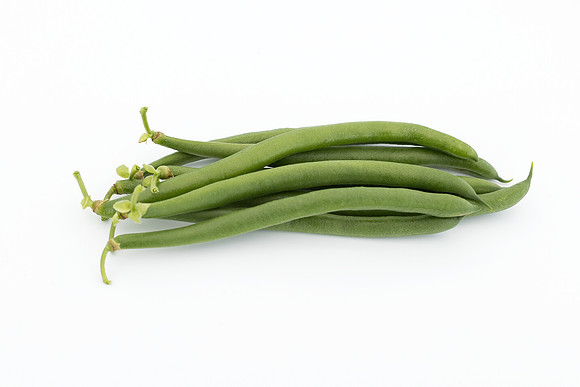 Bean,Garden_SVGF2118_13