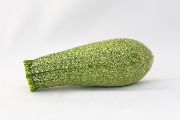 Squash_Depredador_MX_0040